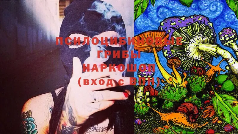 Галлюциногенные грибы Cubensis  Волчанск 